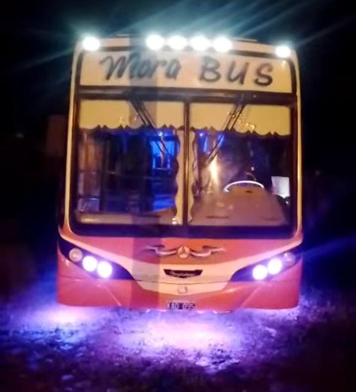 Colectivo escolar Mora Bus